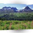 Alaska Thompson Pass Chugach Range A1 Xlarge Canvas
