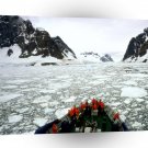 Antarctica Antarctic Travels A1 Xlarge Canvas