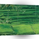 Asia Rice Plantations Bali Indonesia A1 Xlarge Canvas