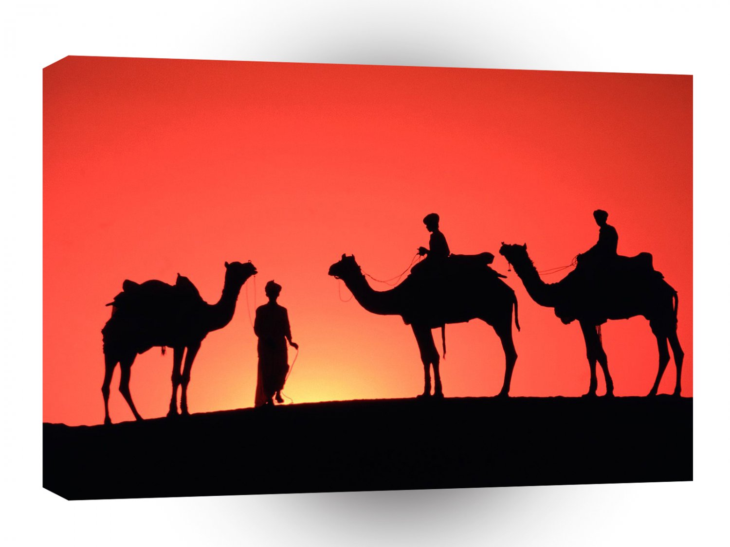 Asia Sam Sand Dunes Rajasthan India A1 Xlarge Canvas