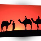Asia Sam Sand Dunes Rajasthan India A1 Xlarge Canvas