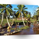 Asia West Irian Indonesia A1 Xlarge Canvas