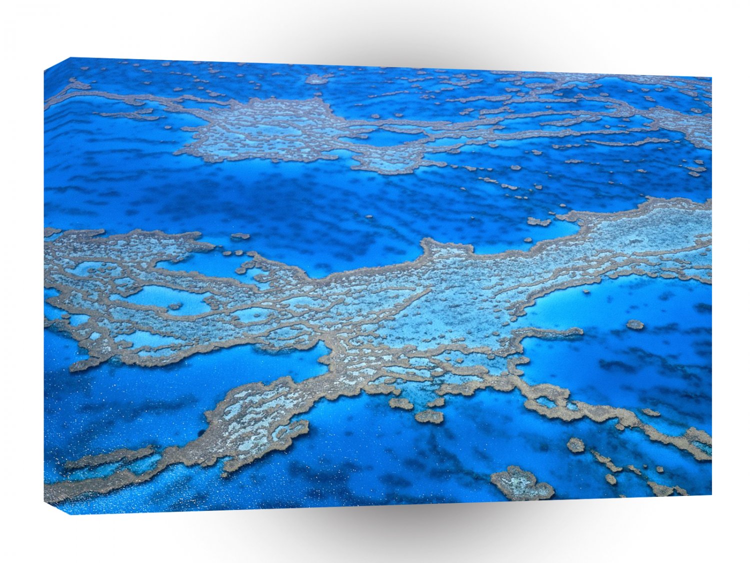 Australia Great Barrier Reef A1 Xlarge Canvas