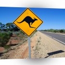 Australia Kangaroo Crossing A1 Xlarge Canvas