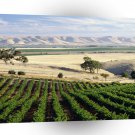 Australia Mclaren Vale Vineyard South A1 Xlarge Canvas