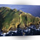 California Point Reyes Point Reyes National A1 Xlarge Canvas