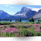Canada Bow Lake Canadian Rockies Alberta A1 Xlarge Canvas