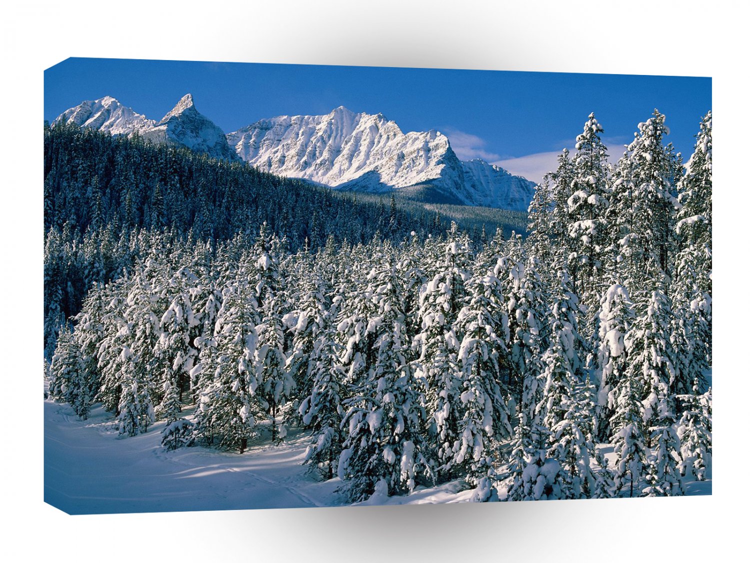 Canada Fairview And Saddle Mountains Alberta A1 Xlarge Canvas