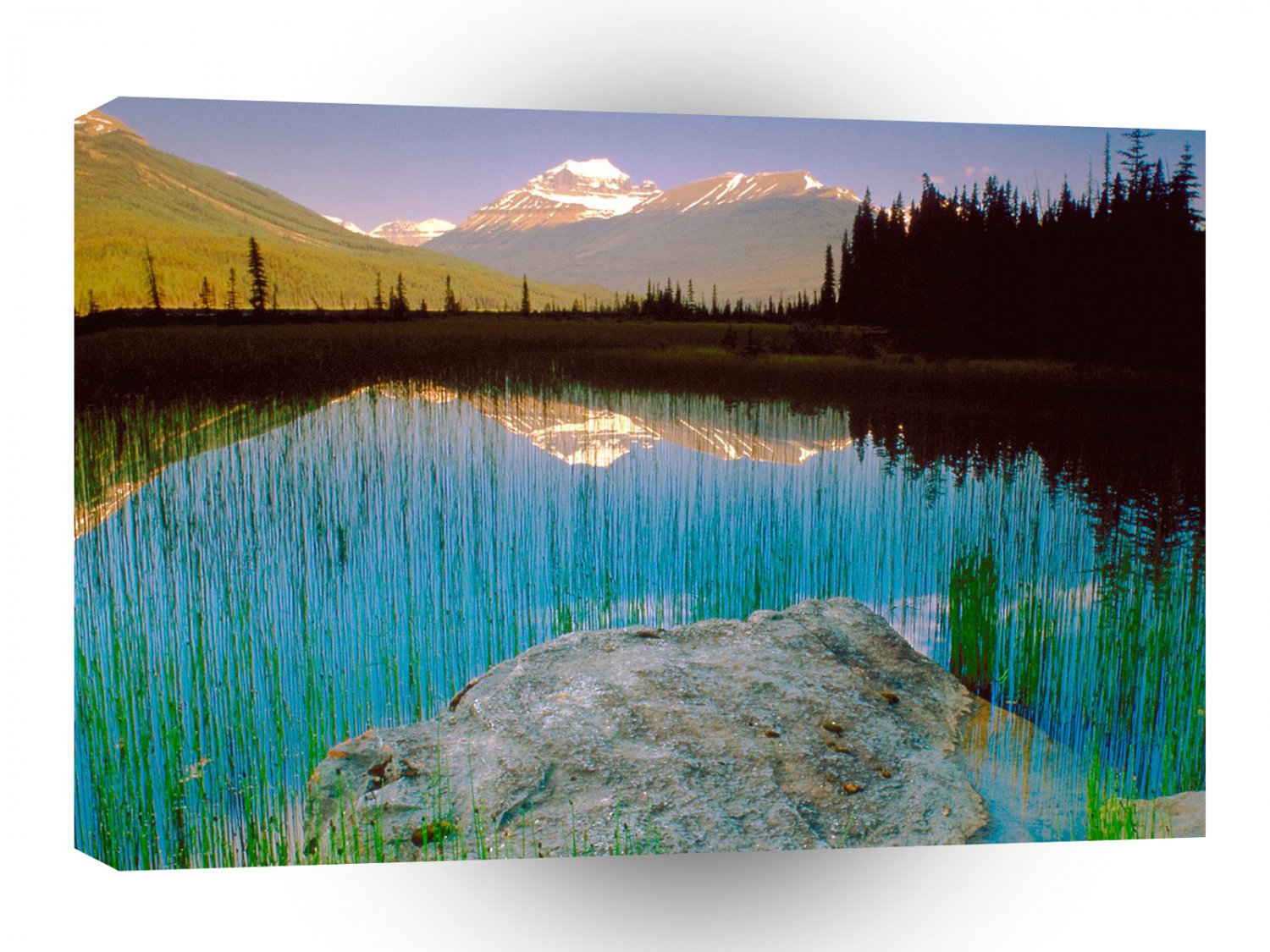 Canada Mount Athabasca Jasperpark A1 Xlarge Canvas