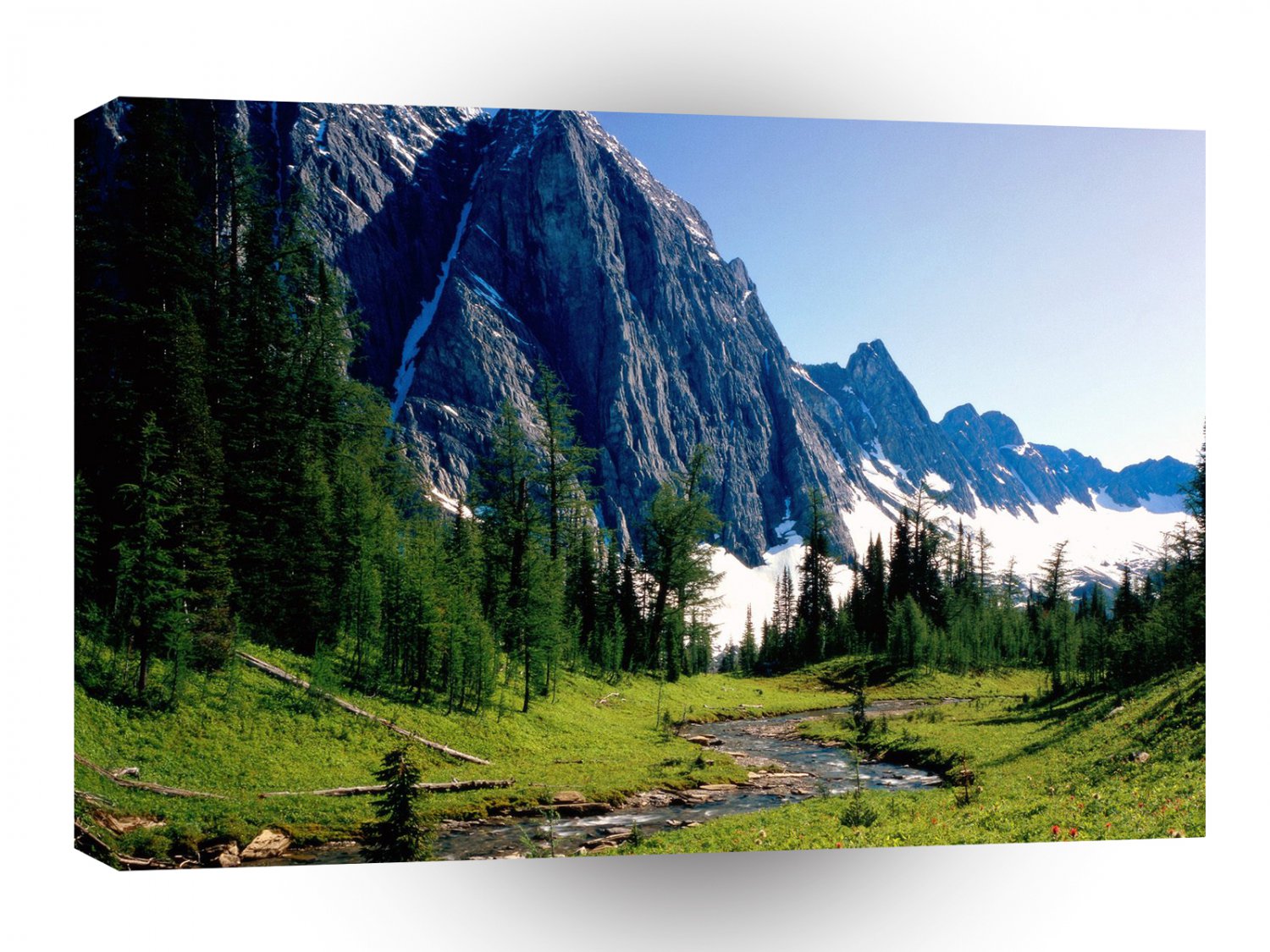 Canada Winding Stream Banffpark Alberta A1 Xlarge Canvas