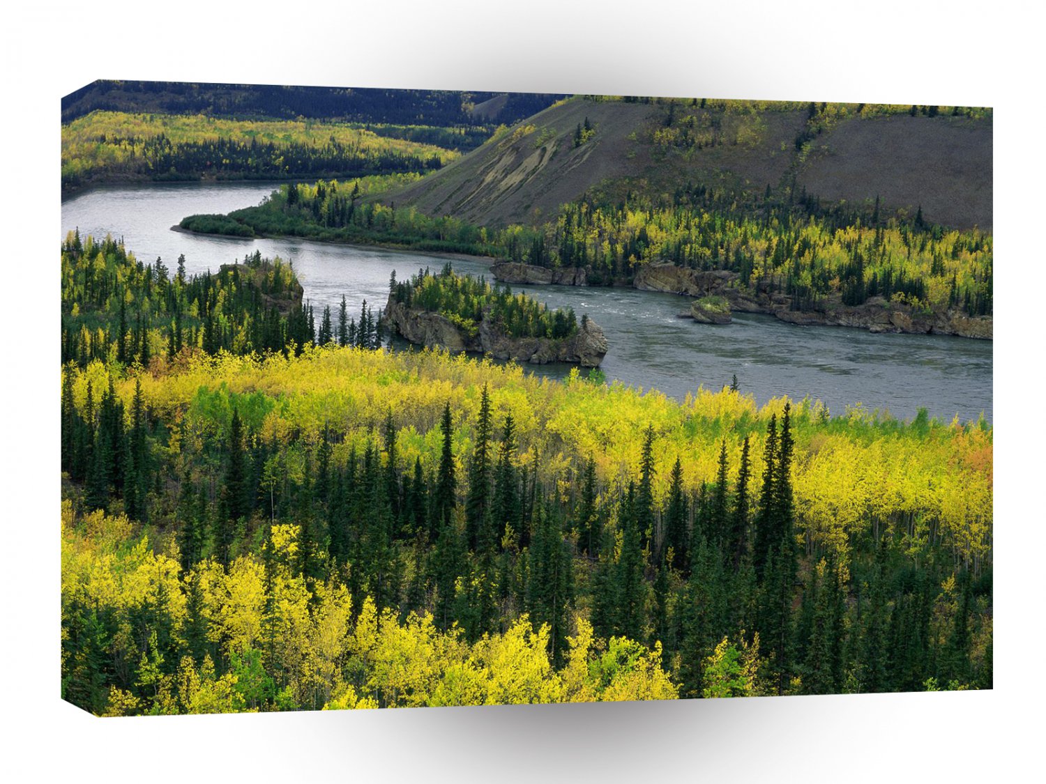 Canada Yukon River A1 Xlarge Canvas