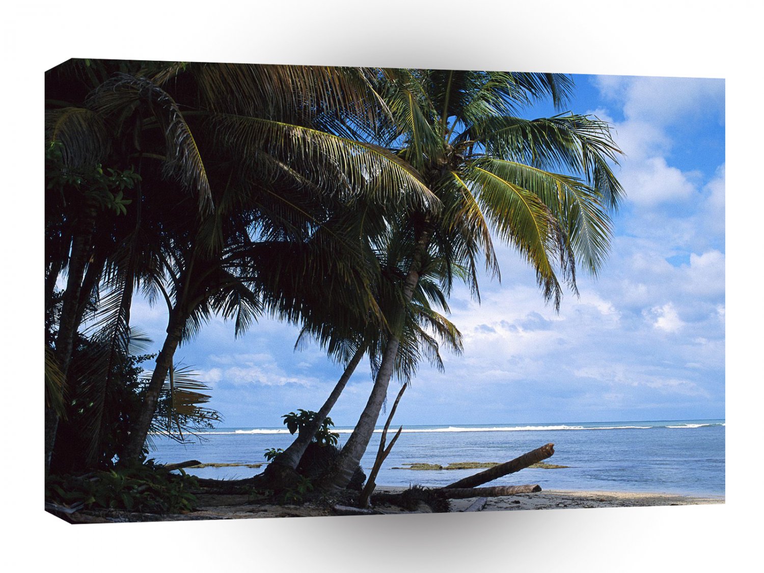 Central American Caibbean Coconut Palms Beach Costa Rica A1 Xlarge Canvas