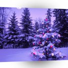 Christmas Christmas In The Wilderness A1 Xlarge Canvas