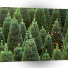 Christmas Dare To Dream A1 Xlarge Canvas