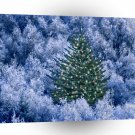 Christmas Holiday Splendor A1 Xlarge Canvas