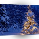 Christmas Tis The Season A1 Xlarge Canvas