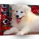 Christmas Wheres My Present A1 Xlarge Canvas