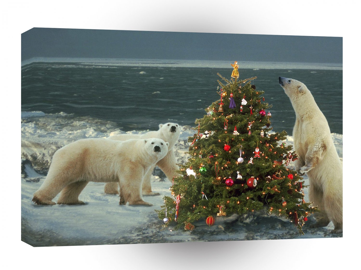 Christmas Wild About Christmas A1 Xlarge Canvas