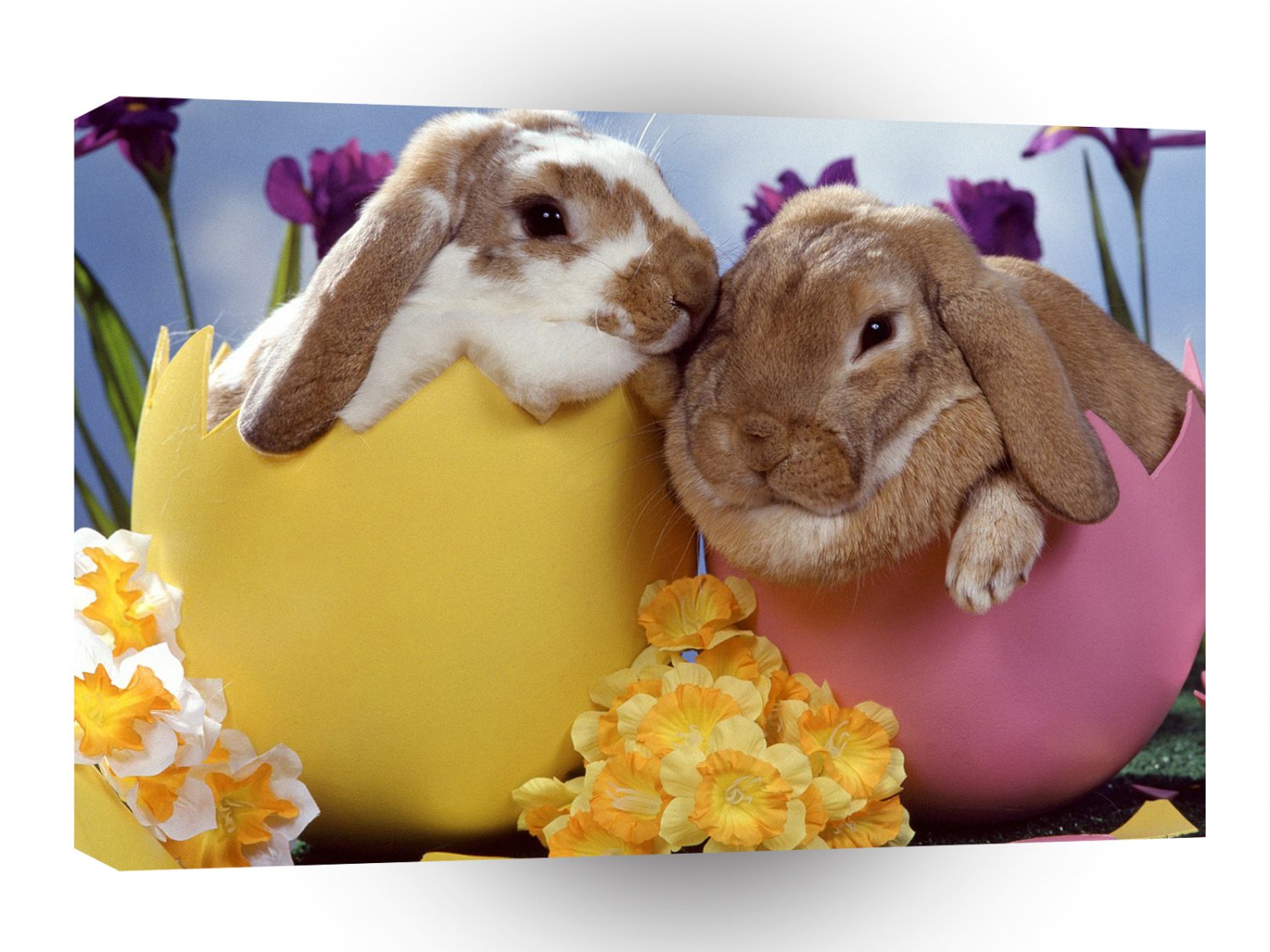 Easter Bunnies A1 Xlarge Canvas