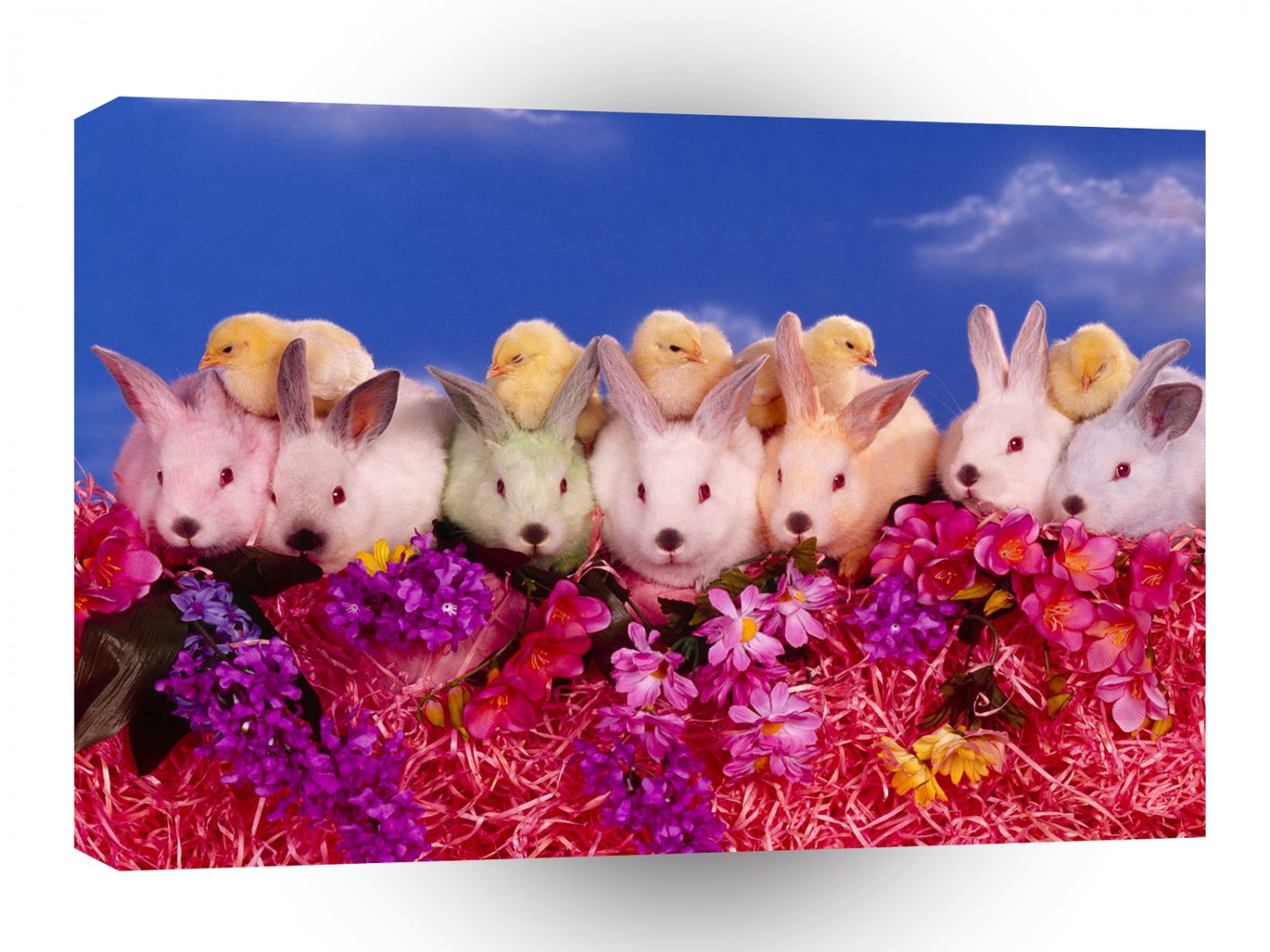 Easter Busy Bunnies A1 Xlarge Canvas
