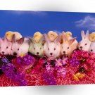 Easter Busy Bunnies A1 Xlarge Canvas