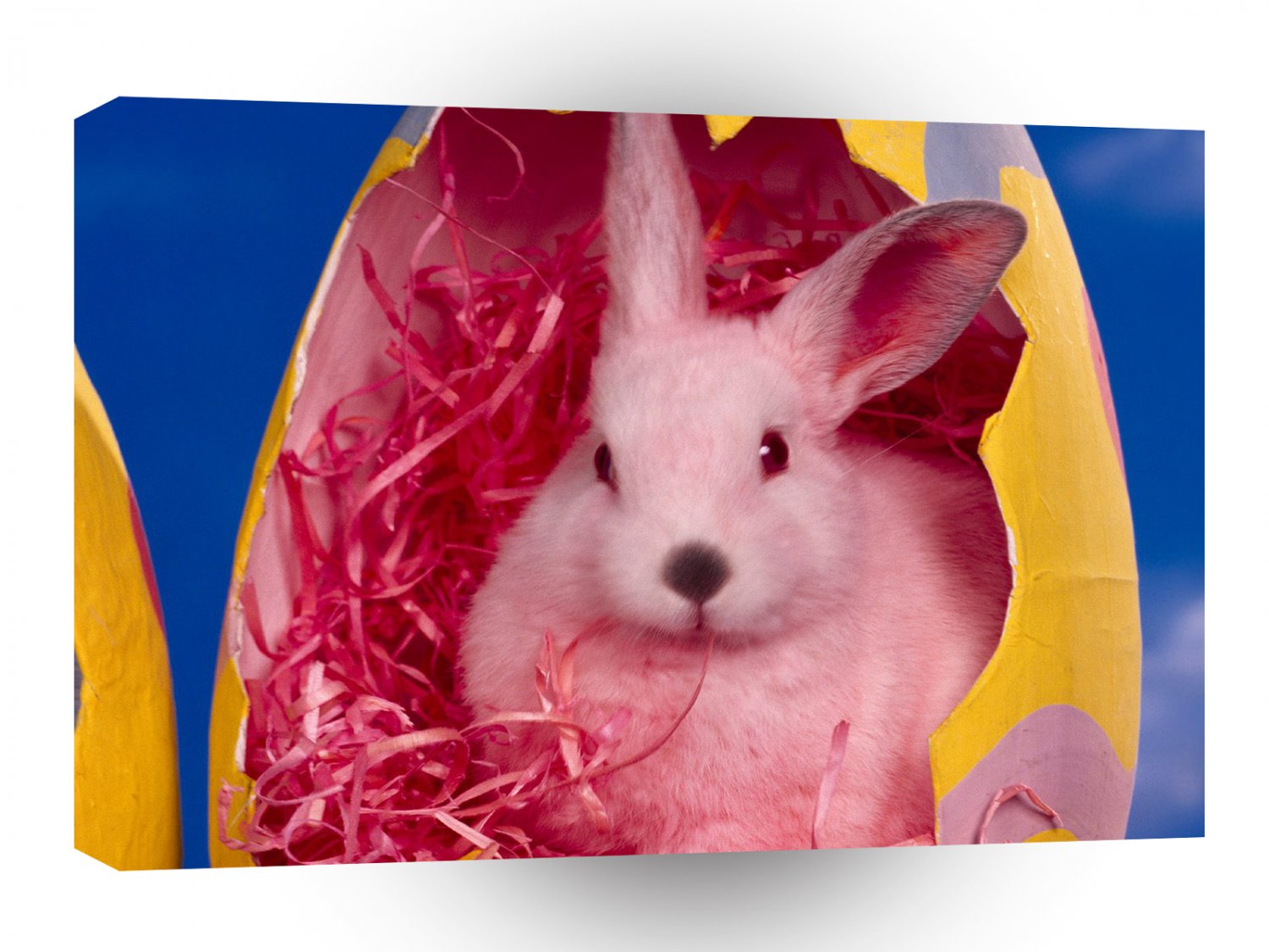 Easter Hoppy Easter A1 Xlarge Canvas