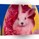Easter Hoppy Easter A1 Xlarge Canvas