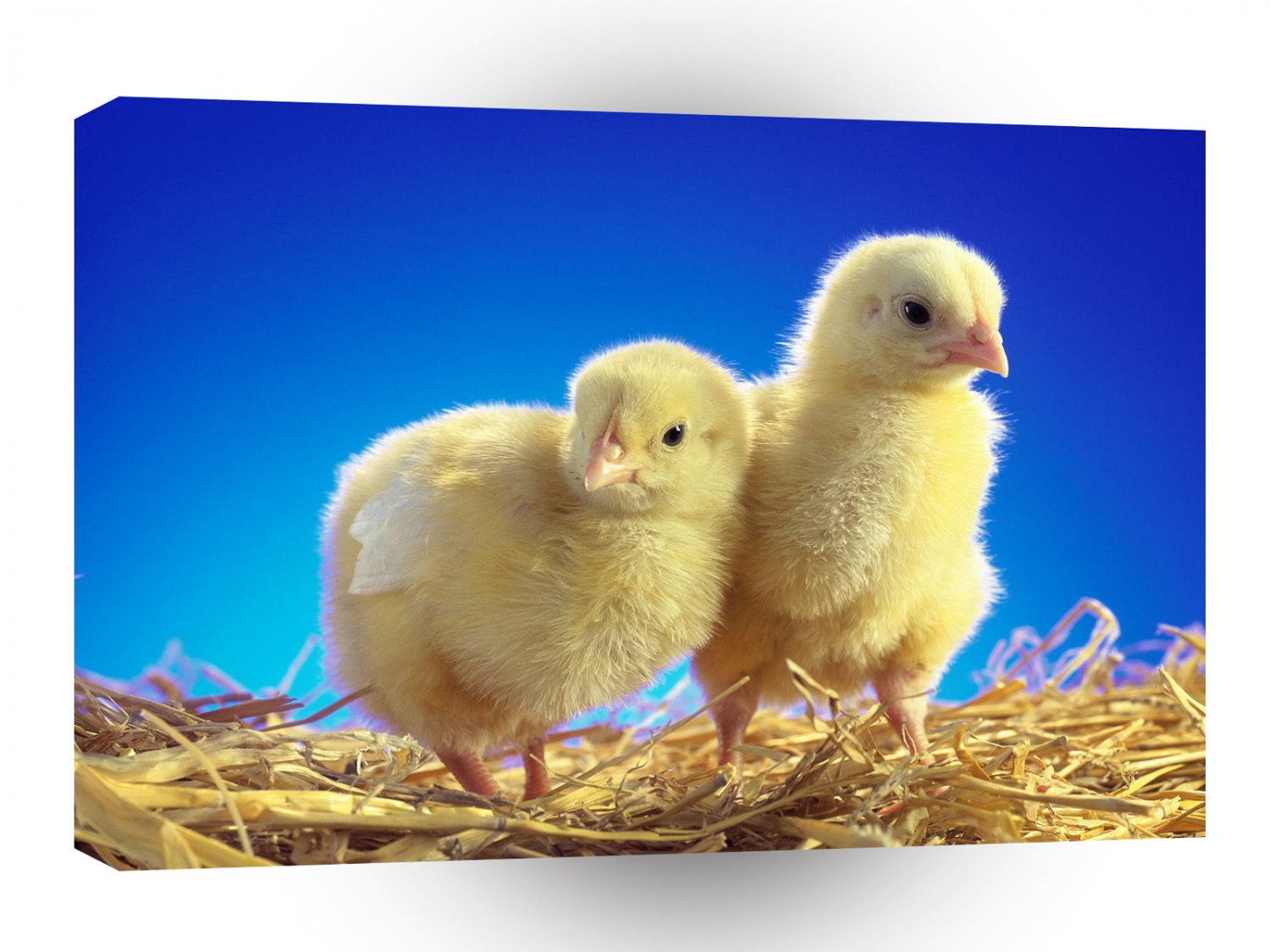 Easter Lil Peeps A1 Xlarge Canvas