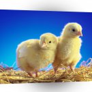 Easter Lil Peeps A1 Xlarge Canvas