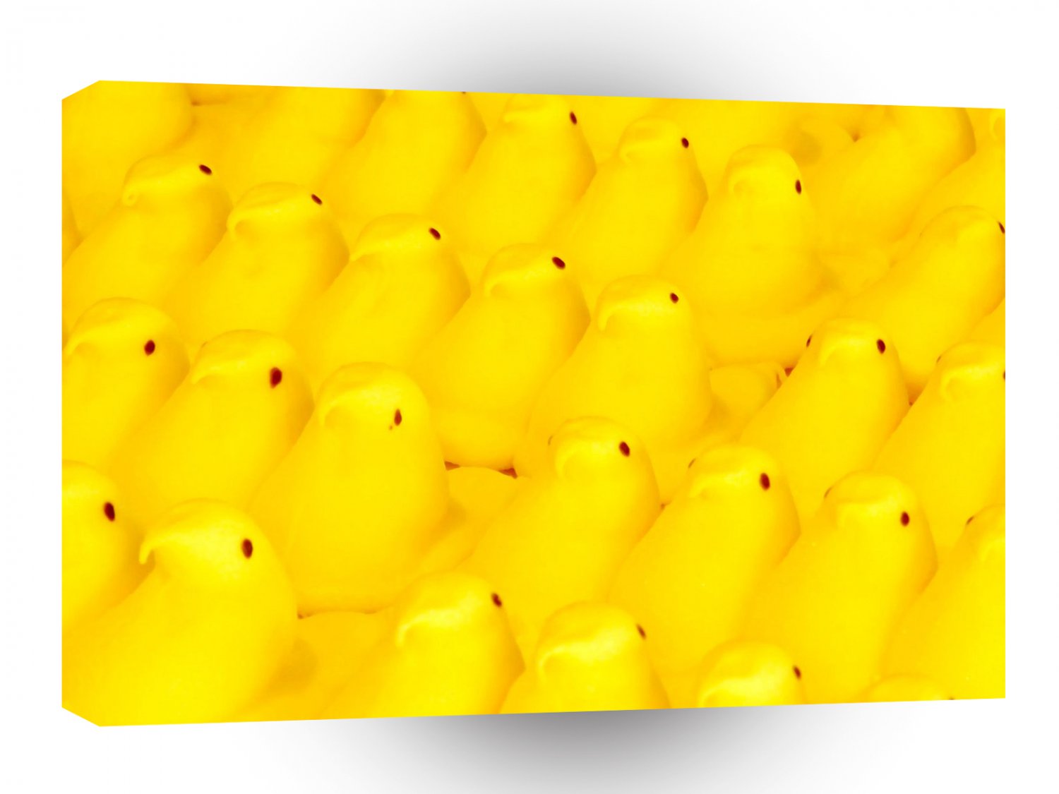 Easter Peep Parade A1 Xlarge Canvas