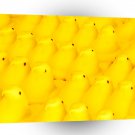 Easter Peep Parade A1 Xlarge Canvas