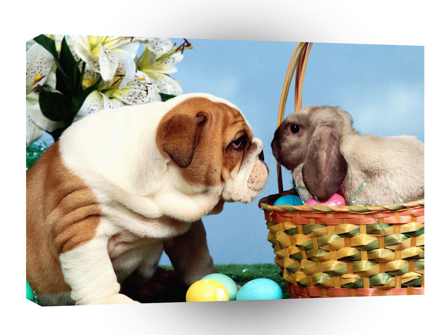 Easter Staring Contest A1 Xlarge Canvas
