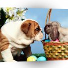 Easter Staring Contest A1 Xlarge Canvas