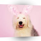 Easter Wheres My Basket A1 Xlarge Canvas