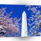 Famous Landmarks Cherry Blossoms Monument A1 Xlarge Canvas