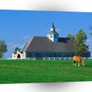 Farms And Barns Donamire Horse Farm Lexington Kentucky A1 Xlarge Canvas