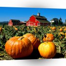 Farms And Barns Faulkner Farm Santa Paula California A1 Xlarge Canvas