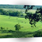 Farms And Barns Fertile Farmland Trace Parkway Tennessee A1 Xlarge Canvas