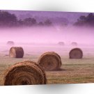Farms And Barns In The Field Of Morning Tennessee A1 Xlarge Canvas