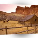 Farms And Barns Old Gifford Homestead Capitol Reefpark Utah A1 Xlarge Canvas
