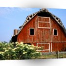 Farms And Barns Red Barn Near Rolling Fork Mississippi A1 Xlarge Canvas