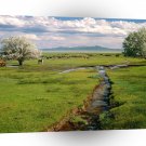 Farms And Barns Ruby Valley Nevada A1 Xlarge Canvas