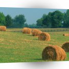 Farms And Barns Summer Harvest Kentucky A1 Xlarge Canvas