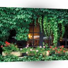 France Ivy Window Provence A1 Xlarge Canvas