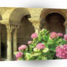 France St Paul De Mausolee A1 Xlarge Canvas