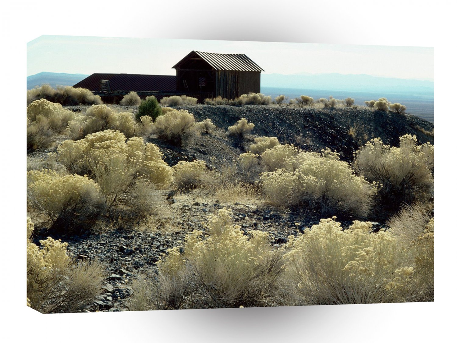 Ghost Towns Paradise Peak Berlin Nevada A1 Xlarge Canvas