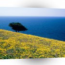 Greece Antiparos Aegean Sea A1 Xlarge Canvas