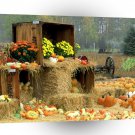 Halloween Autumn Roadside Manistee County Onekama Michigan A1 Xlarge Canvas