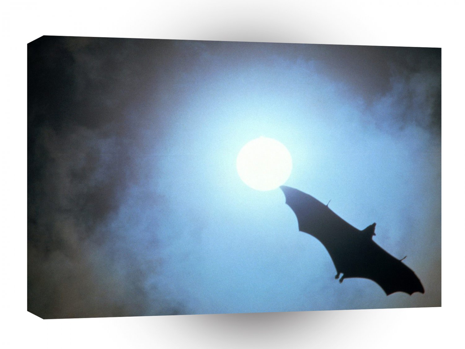 Halloween Full Moon Flight A1 Xlarge Canvas