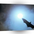 Halloween Full Moon Flight A1 Xlarge Canvas